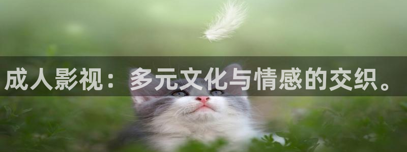 九七电影院手机版最新：成人影视：多元文化与情感的交织。