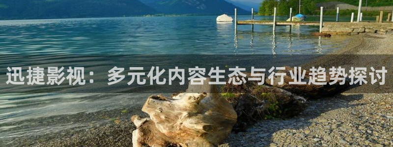 97九七电影院：迅捷影视：多元化内容生态与行业趋势探讨