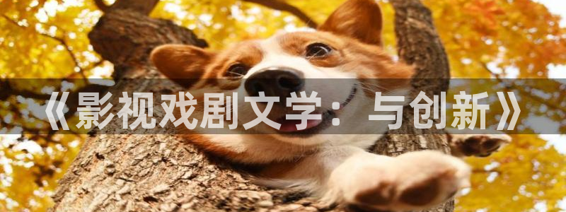 九七电影院手机网页版：《影视戏剧文学：与创新》
