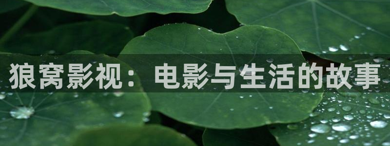 九七电影院.：狼窝影视：电影与生活的故事