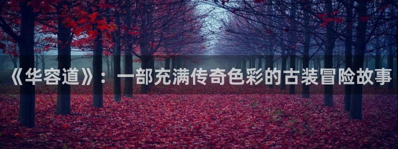 九七电影大片：《华容道》：一部充满传奇色彩的古装冒险故事