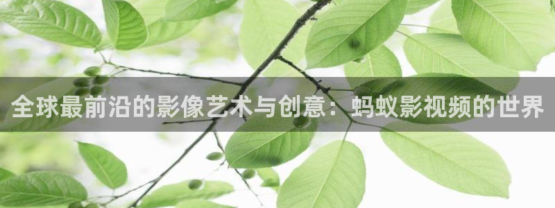 九七电影院手机版全部播放：全球最前沿的影像艺术与创意：蚂蚁影视频的世界