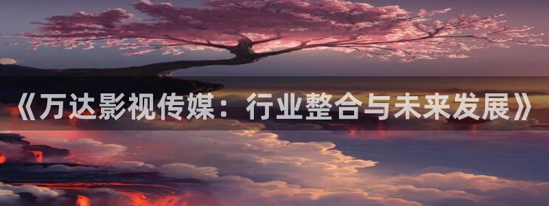 伦理九七神马电影：《万达影视传媒：行业整合与未来发展》