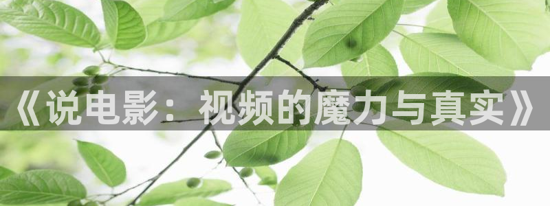 九七电影主页：《说电影：视频的魔力与真实》