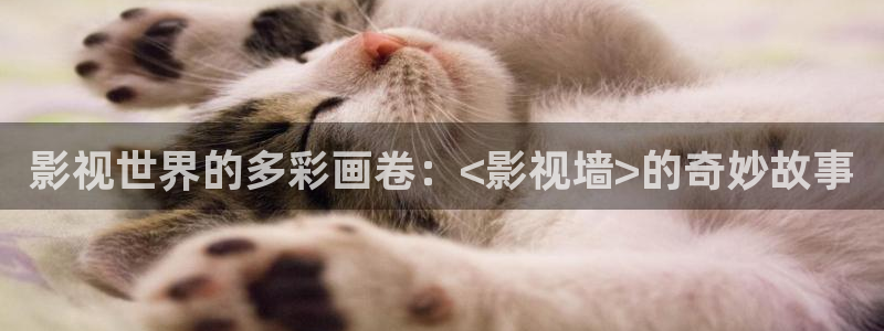 九七电影院在线播放：影视世界的多彩画卷：<影视墙>的奇妙故事