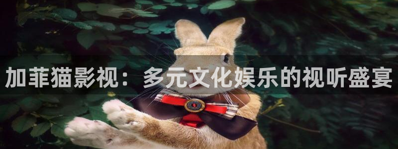 九七免费电影：加菲猫影视：多元文化娱乐的视听盛宴